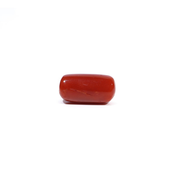 Red Coral - 4.5 Carat - Pramogh