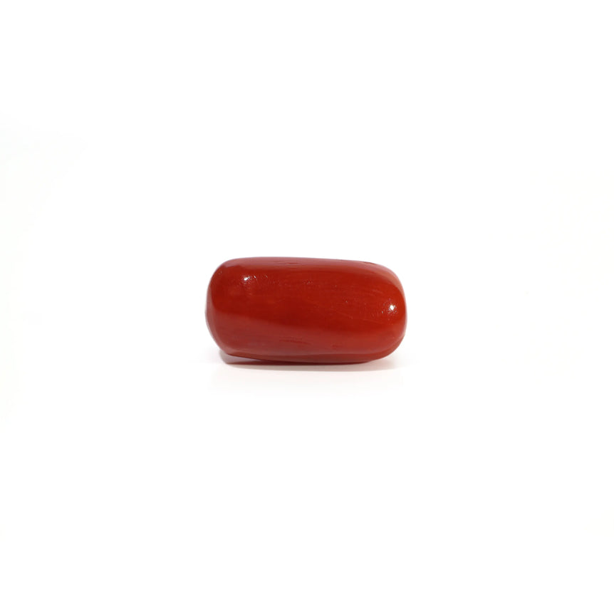 Red Coral - 4.5 Carat