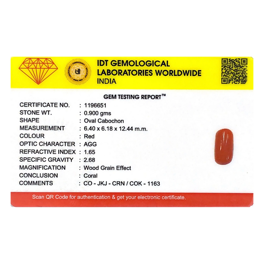 Red Coral - 4.5 Carat