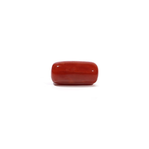 Red Coral - 4.73 Carat - Pramogh