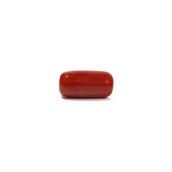 Red Coral - 4.73 Carat - Pramogh