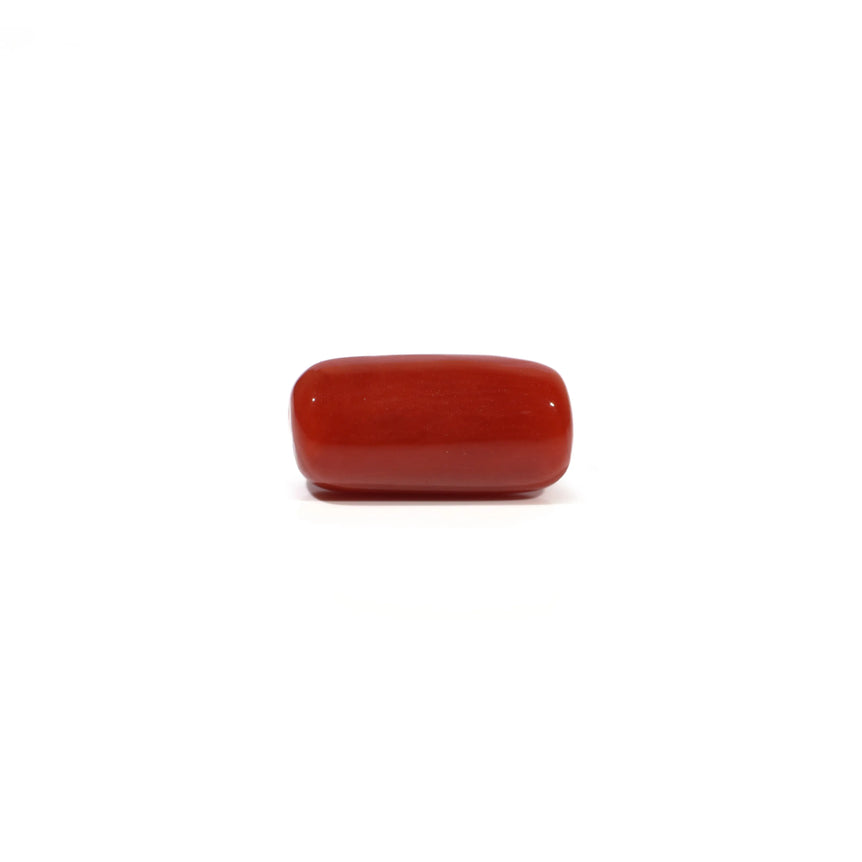 Red Coral - 4.73 Carat