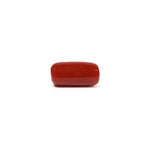 Red Coral - 4.73 Carat