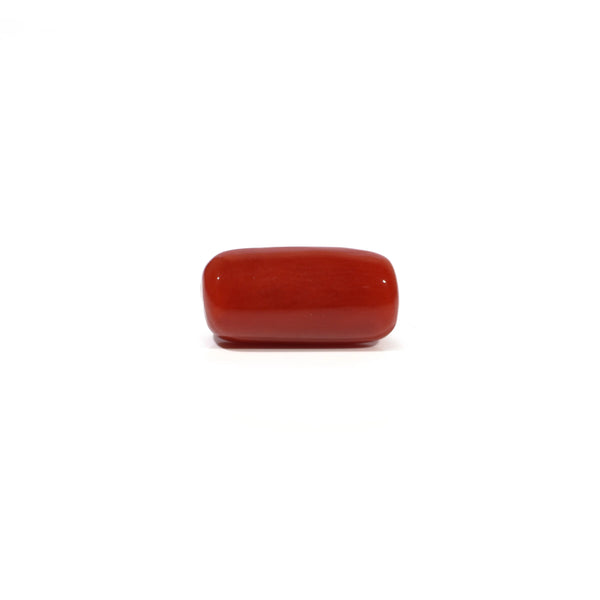 Red Coral - 4.73 Carat