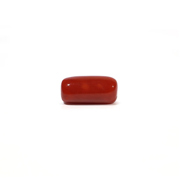 Red Coral - 4.73 Carat