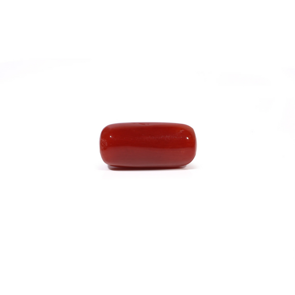 Red Coral - 5.03 Carat - Pramogh