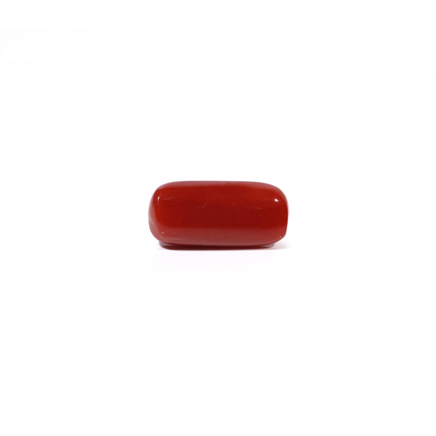 Red Coral - 5.03 Carat