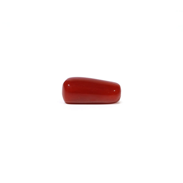 Red Coral - 5.03 Carat