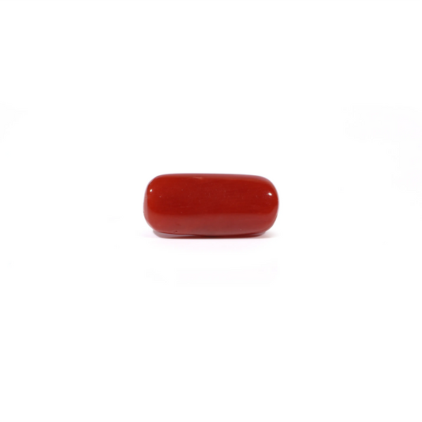 Red Coral - 4.56 Carat - Pramogh
