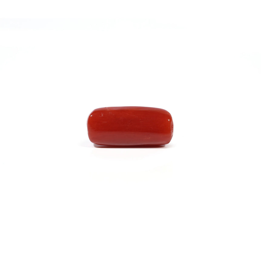 Red Coral - 4.56 Carat