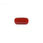 Red Coral - 4.56 Carat