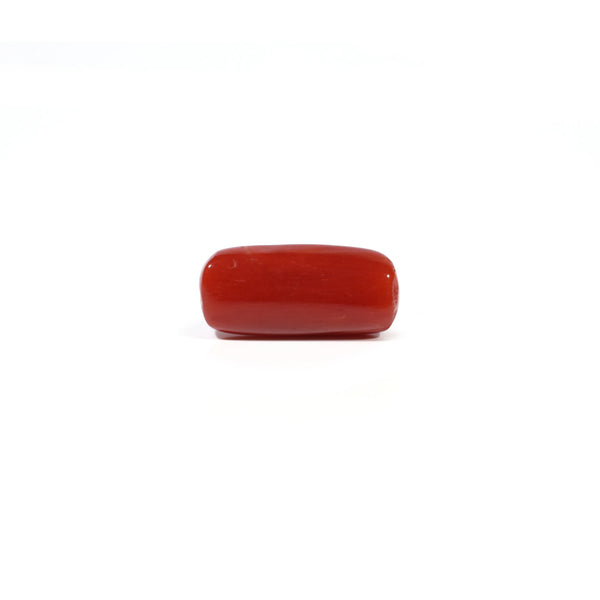 Red Coral - 4.56 Carat