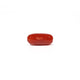 Red Coral - 4.94 Carat - Pramogh