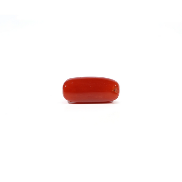 Red Coral - 4.94 Carat