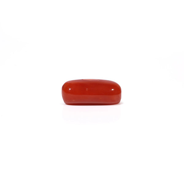 Red Coral - 4.94 Carat