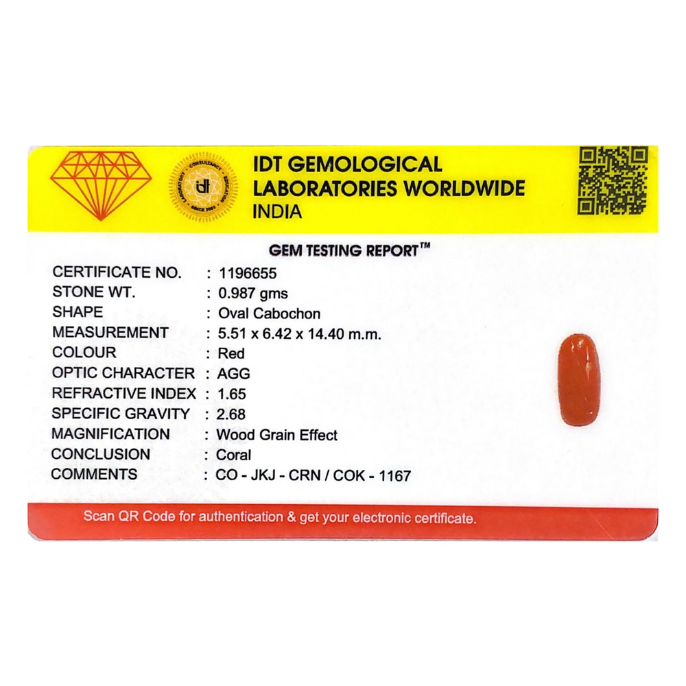 Red Coral - 4.94 Carat
