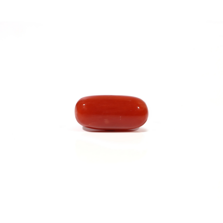 Red Coral - 4.8 Carat - Pramogh