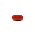 Red Coral - 4.8 Carat - Pramogh