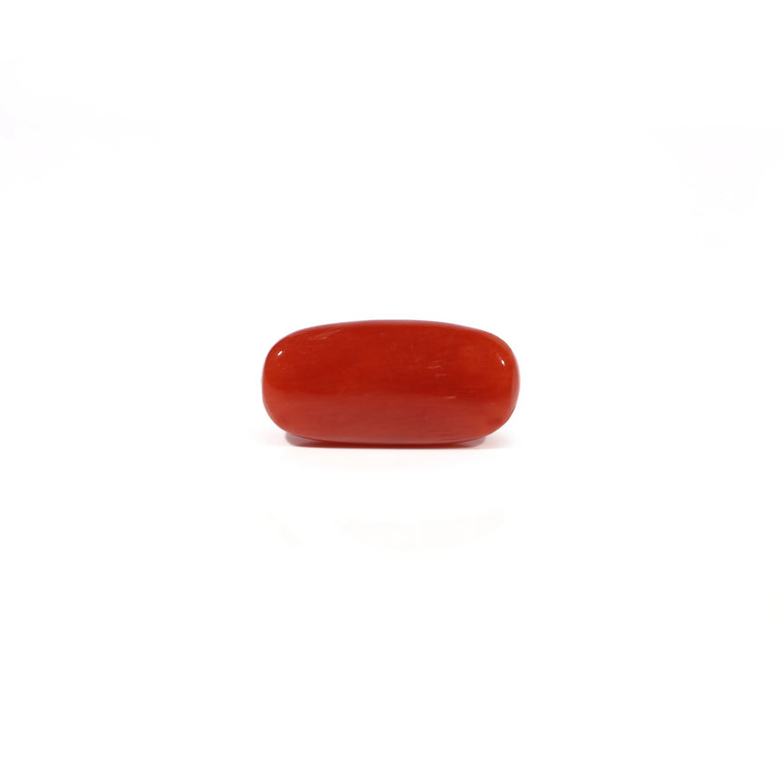 Red Coral - 4.8 Carat