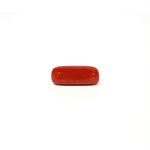 Red Coral - 4.8 Carat