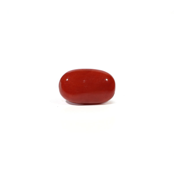 Red Coral - 4.62 Carat - Pramogh