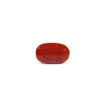 Red Coral - 4.62 Carat