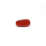 Red Coral - 4.62 Carat