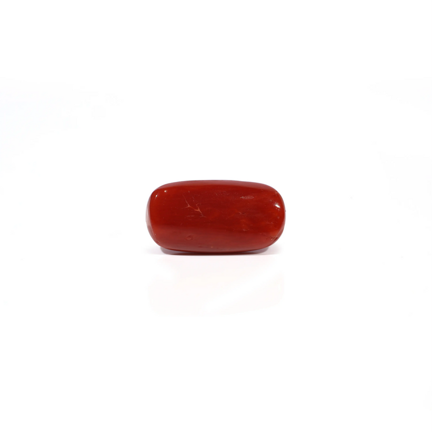Red Coral - 4.56 Carat