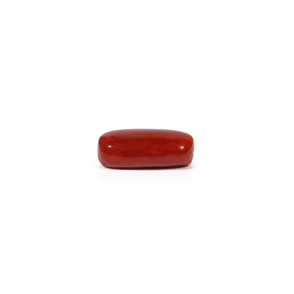 Red Coral - 4.56 Carat