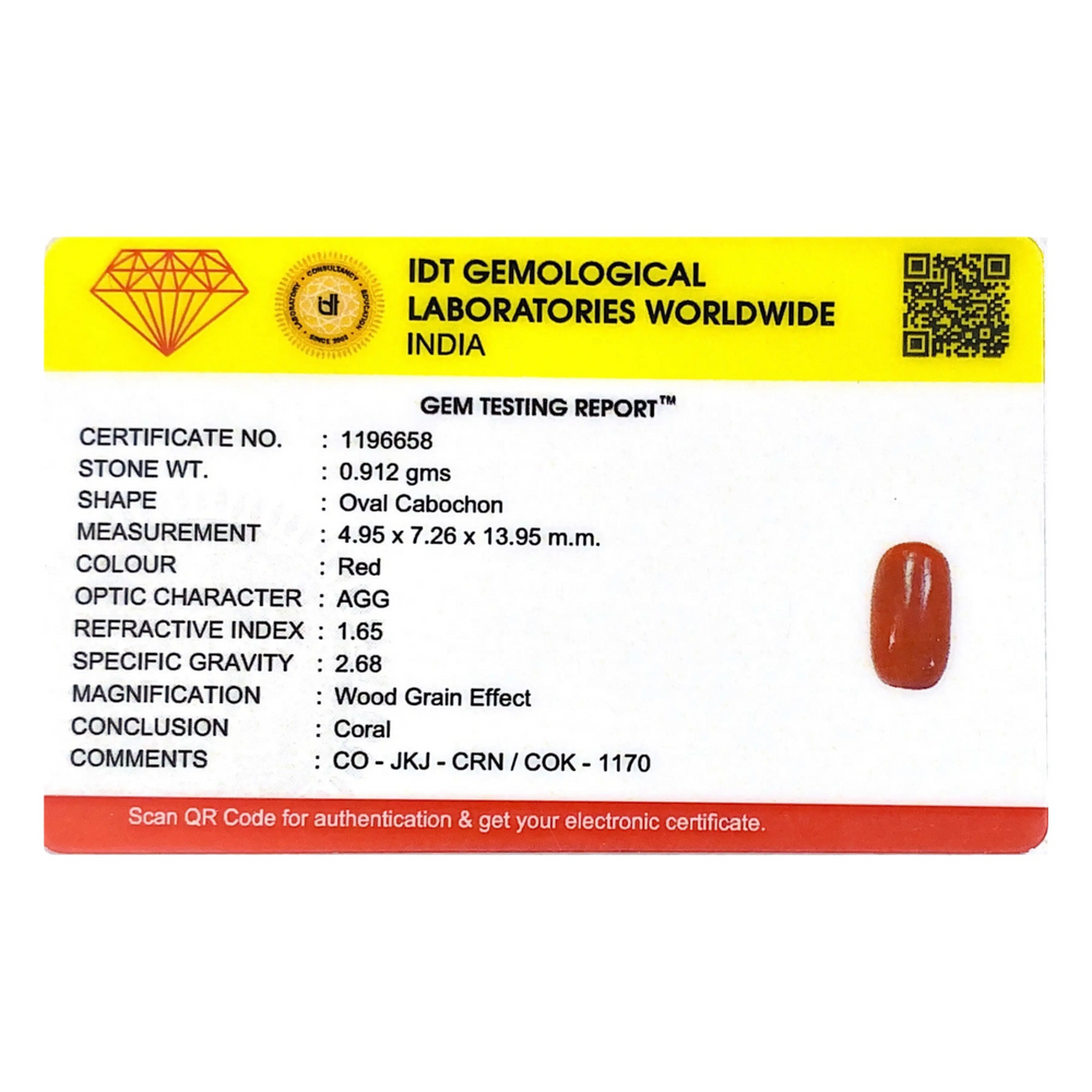 Red Coral - 4.56 Carat