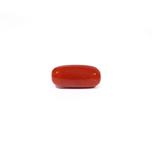 Red Coral - 4.71 Carat - Pramogh