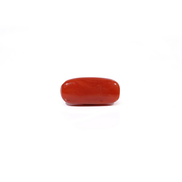Red Coral - 4.71 Carat