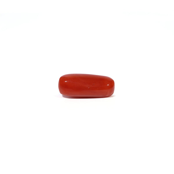 Red Coral - 4.71 Carat