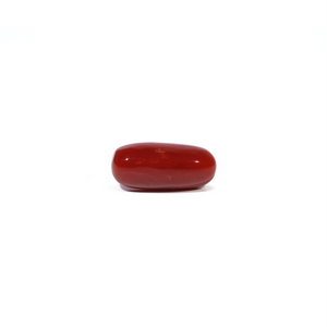 Red Coral - 4.8 Carat - Pramogh
