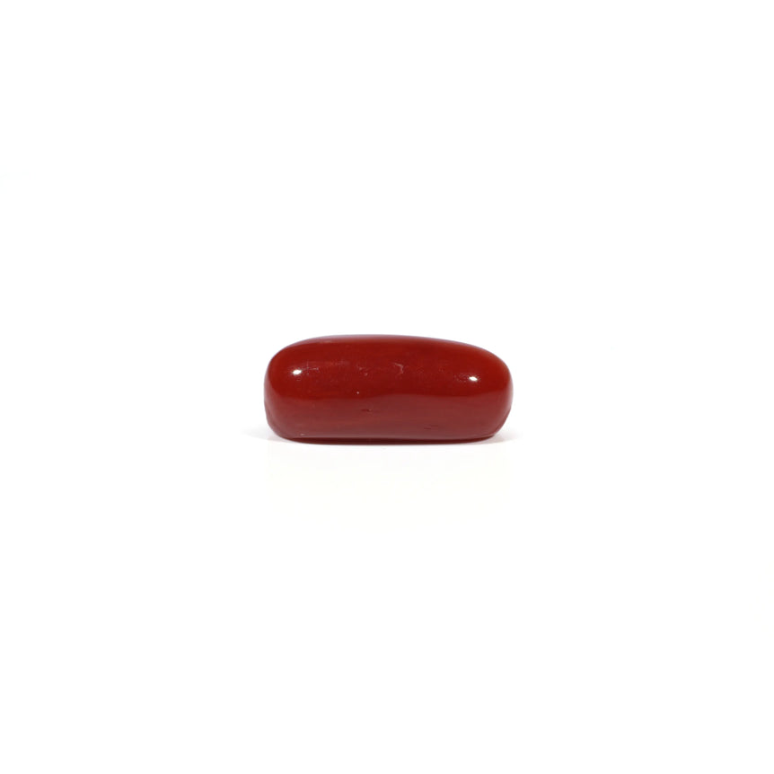 Red Coral - 4.8 Carat