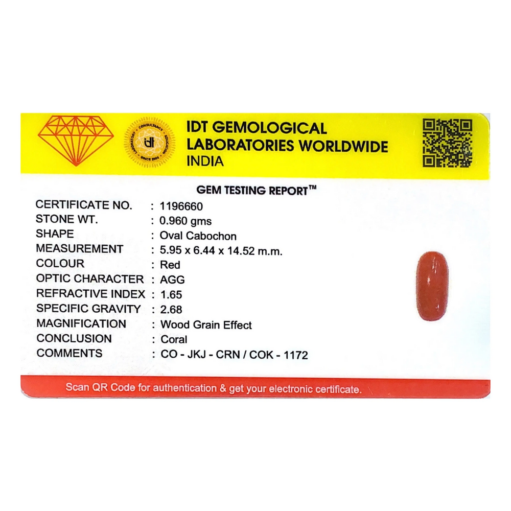 Red Coral - 4.8 Carat