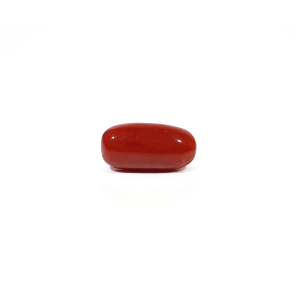 Red Coral - 4.8 Carat - Pramogh