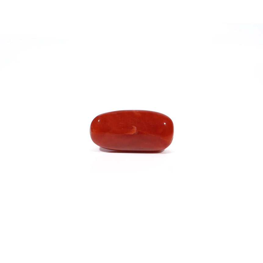 Red Coral - 4.8 Carat
