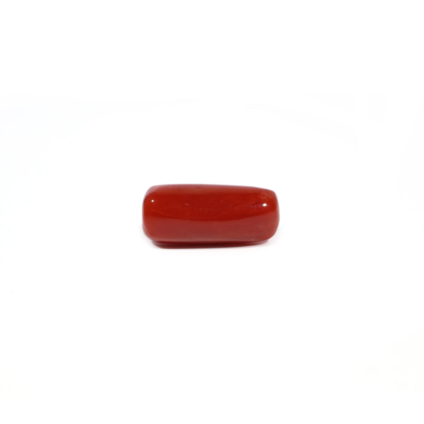 Red Coral - 5.16 Carat - Pramogh
