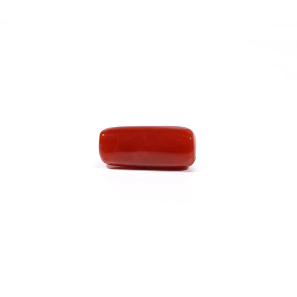 Red Coral - 5.16 Carat