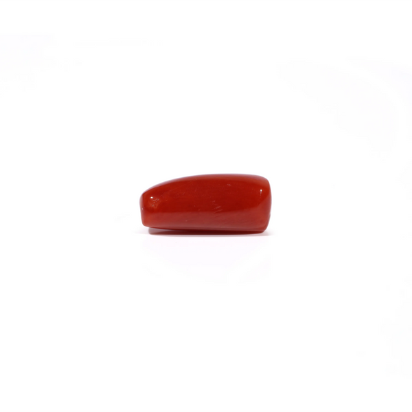 Red Coral - 5.16 Carat