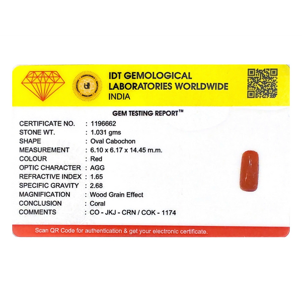 Red Coral - 5.16 Carat