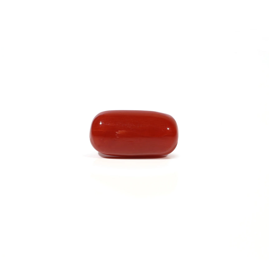 Red Coral - 4.97 Carat - Pramogh