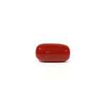 Red Coral - 4.97 Carat - Pramogh