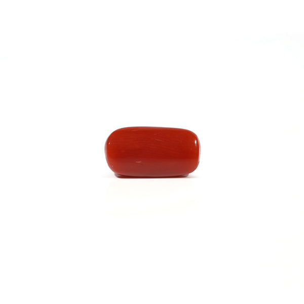 Red Coral - 4.97 Carat