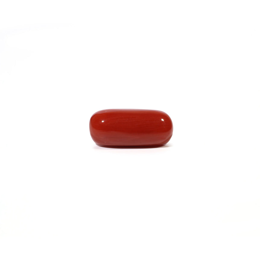 Red Coral - 5.23 Carat - Pramogh
