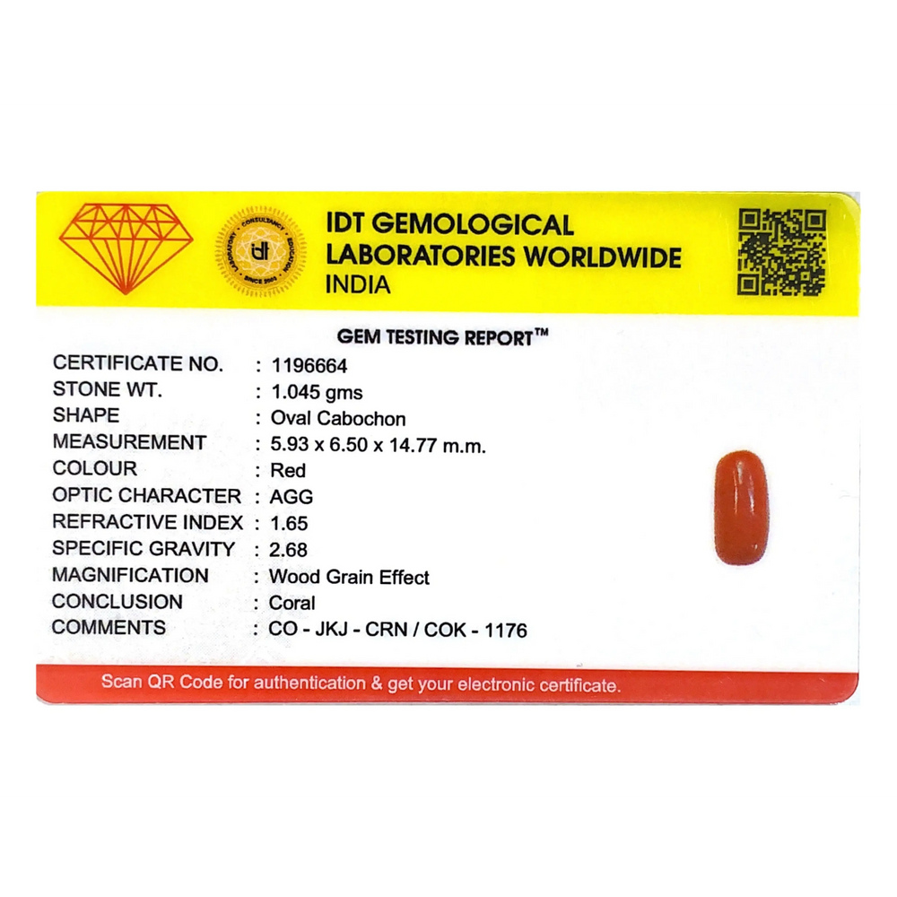 Red Coral - 5.23 Carat