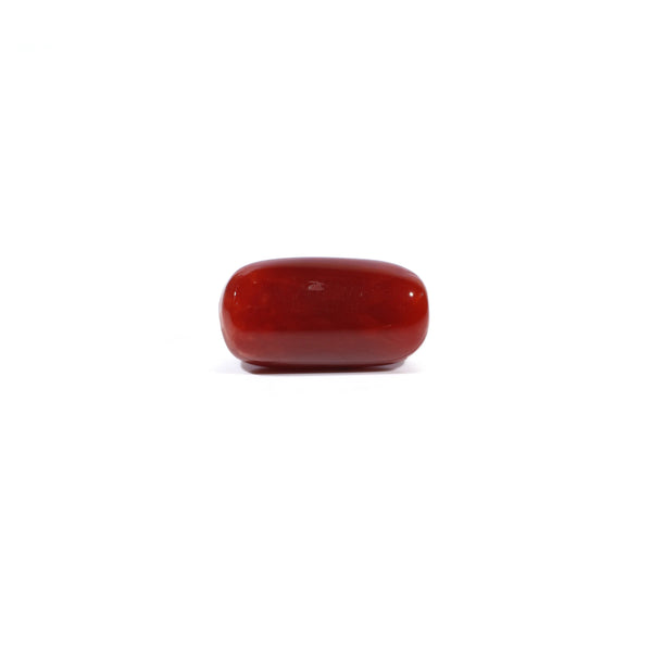 Red Coral - 4.8 Carat