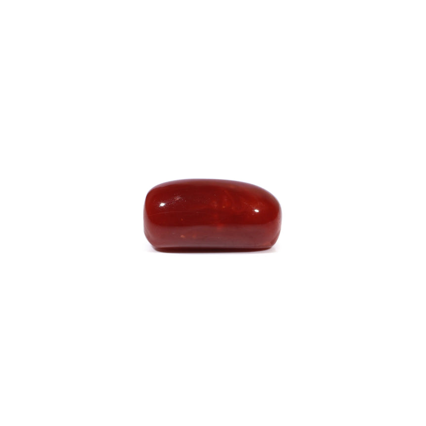 Red Coral - 4.8 Carat