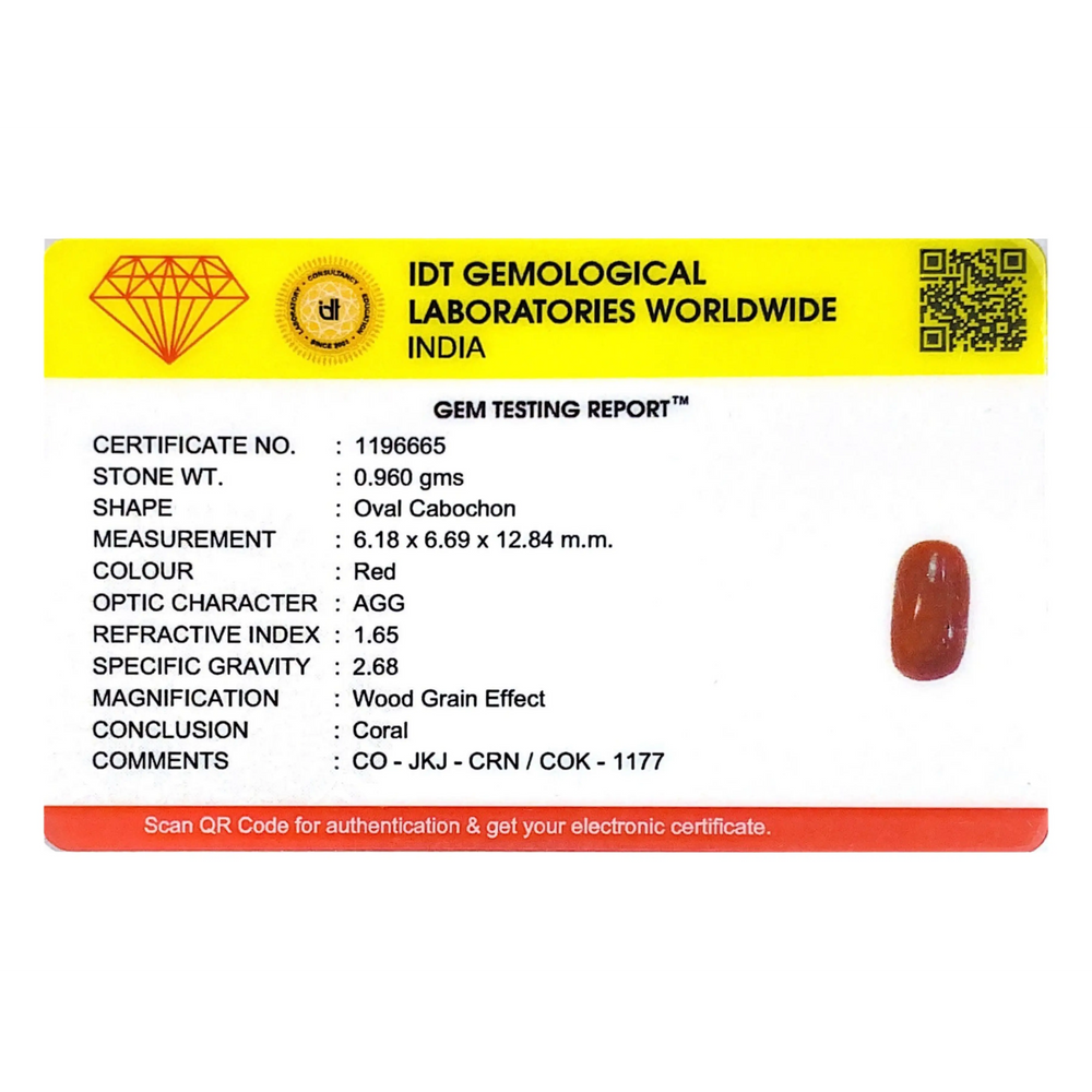 Red Coral - 4.8 Carat